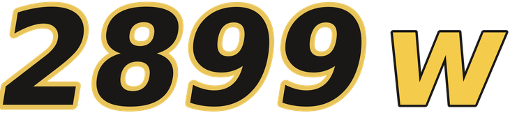 2899w logo